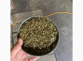Зображення для оголошення Тютюн! махорочка на опт! Зелений