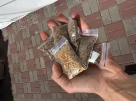 Зображення для оголошення Тютюн
