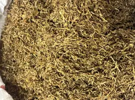 Зображення для оголошення Продам тютюн/табак/гільзи по найкращим цінам