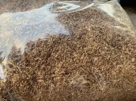 Зображення для оголошення Продам тютюн гарної якості / Аксесуари / гільзи
