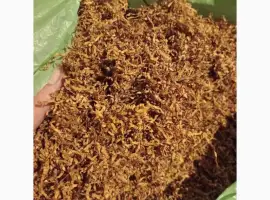 Зображення для оголошення Продам тютюн Верджинія класіка