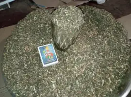 Зображення для оголошення Нада Табак домашній тому сюда ! Самосад наш сільський дідовий