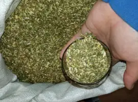 Зображення для оголошення Класний свій табак під машинки (махорка ) і Вірджінія домашня не мокра ! під гільзи