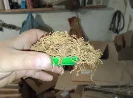 Зображення для оголошення Хто хоче Табак домашній тому сюда ! Самосад сільський не вонючий