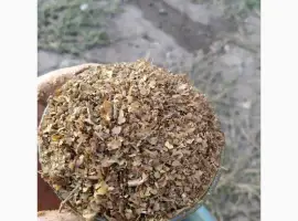 Зображення для оголошення Кому отлічний Самосад домашній і табак порізка лапша і хлопя махорка