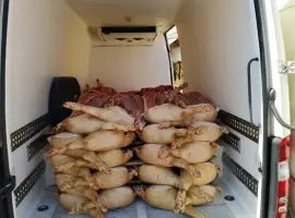 Зображення для оголошення М’ясо, Свинина. Пропоную туші, мясо свиней