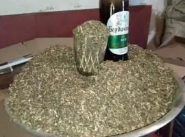 Зображення для оголошення Самосад Український вища проба!! Махорка не Китай і Турція контробанди НЕТ