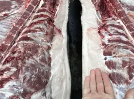 Зображення для оголошення Туші свиней,мʼясо свинини,під замовлення