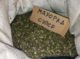 Зображення для оголошення Домашній тютюн махорка самосад все своє не заводське