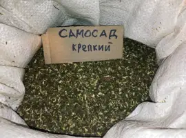 Зображення для оголошення Просто самосад або махорка