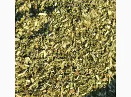 Зображення для оголошення Махорочка самосад в наявності