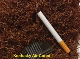 Зображення для оголошення Табак Kentucky Air-Cured Тютюн Кентуккі повітряної сушки