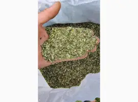 Зображення для оголошення Продам махорку