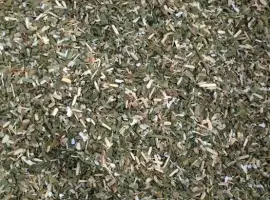 Зображення для оголошення Продам махорку самосад