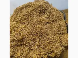 Зображення для оголошення Продам тютюн високої якості. Верджинія