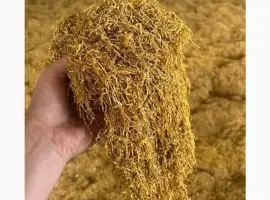 Зображення для оголошення Табак) Тютюн Гарної якості усі види