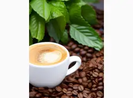 Зображення для оголошення Кофе LAVAZZA Crema RICCA в зернах