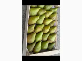 Зображення для оголошення Продам грушу нояберська