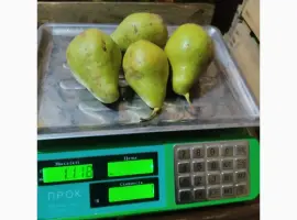 Зображення для оголошення Продам груші. Ноябрьська
