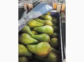 Зображення для оголошення Продам грушу в Польше