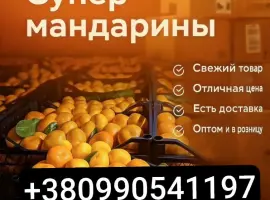 Зображення для оголошення Продам мадарин оптом