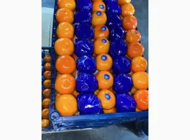 Зображення для оголошення Мандарин Туреччина