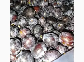 Зображення для оголошення Продаємо заморожену сливу. Кам'янець-Подільський. Можлива доставка по УкраІні