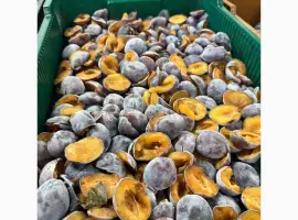 Зображення для оголошення Продам Сливку