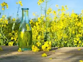 Зображення для оголошення Купуємо олію ріпакову нерафіновону (самовивіз)
