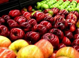 Зображення для оголошення Продам Яблука опт