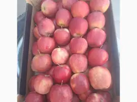 Зображення для оголошення Продам яблука з Польщі