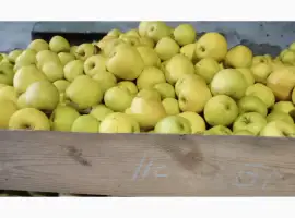Зображення для оголошення Продам яблука різних сортів