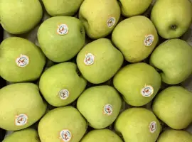 Зображення для оголошення Куплю яблука сорту Golden Delicious