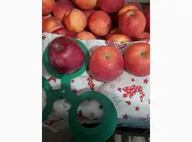 Зображення для оголошення Продам яблука сорту флоріна