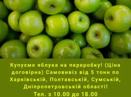 Зображення для оголошення Купуємо яблука на переробку