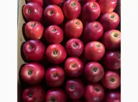 Зображення для оголошення Продам яблука