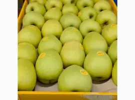 Зображення для оголошення Продам яблука