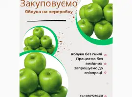 Зображення для оголошення Купуємо яблука на переробку без гнилі.Запрошуємо оптовиків до співпраці