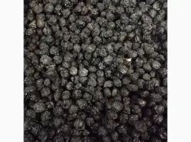 Зображення для оголошення Куплю ягоду бузини
