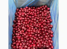 Зображення для оголошення Продами вишню з кісточкою