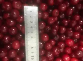 Зображення для оголошення Продам вишню заморожену