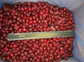 Зображення для оголошення Продам вишню заморожену