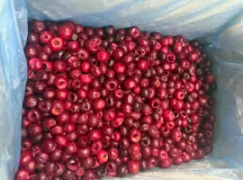 Зображення для оголошення Продам заморожену вишню б/к