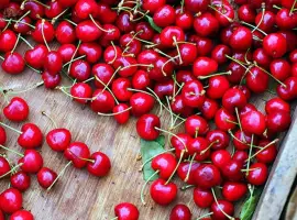 Зображення для оголошення Дорого куплю вишню 2025 !Висока Ціна