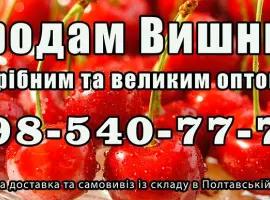 Зображення для оголошення Продаю вишню