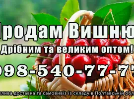 Зображення для оголошення Реалізую вишню