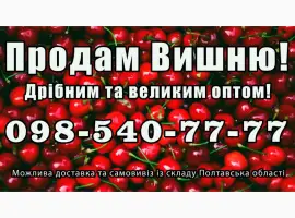 Зображення для оголошення Продам вишню за договірною ціною
