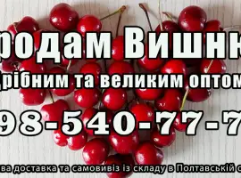 Зображення для оголошення Реалізую вишню