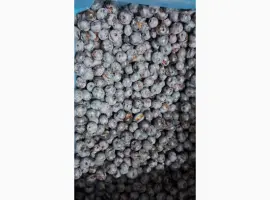 Зображення для оголошення ЛОХИНА заморожена