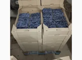 Зображення для оголошення Продам лохину